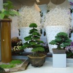 Floriade 2012